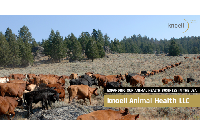 knoell Animal Health LLC